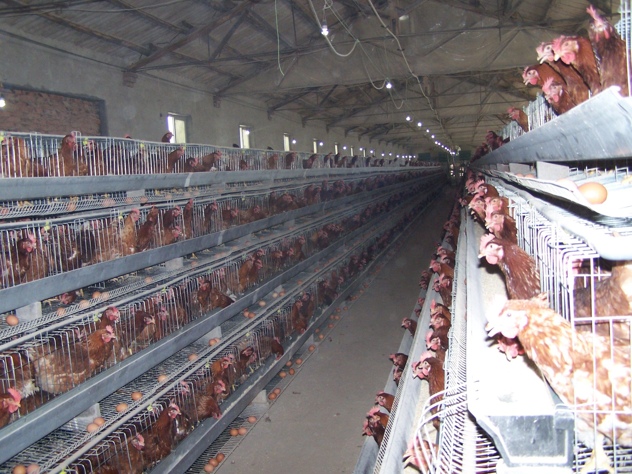 Z6·尊龙凯时(中国区)人生就是搏!