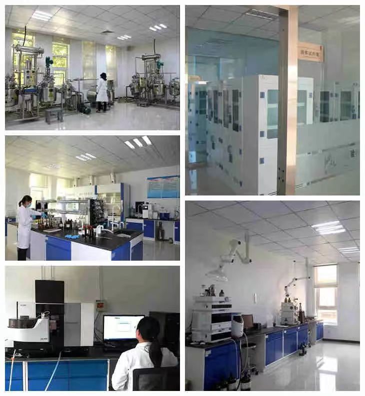 Z6·尊龙凯时(中国区)人生就是搏!